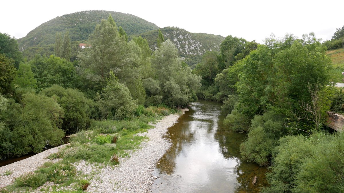 Irati ibaia, Aribe