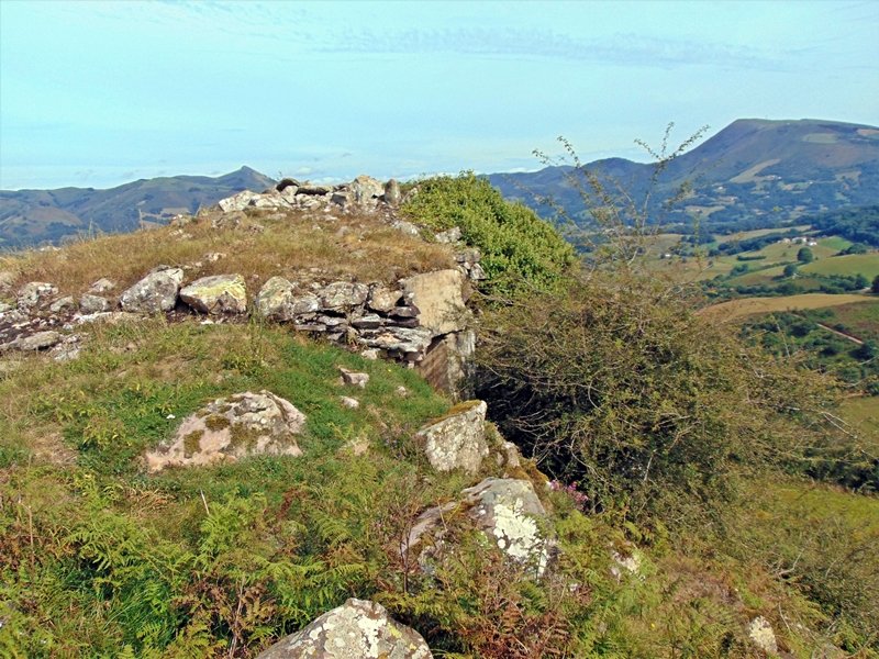 Tontorra