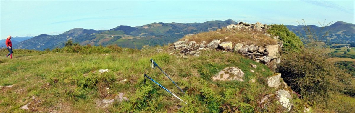 Tontorra