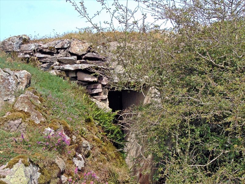 Bunkerra Tontorran