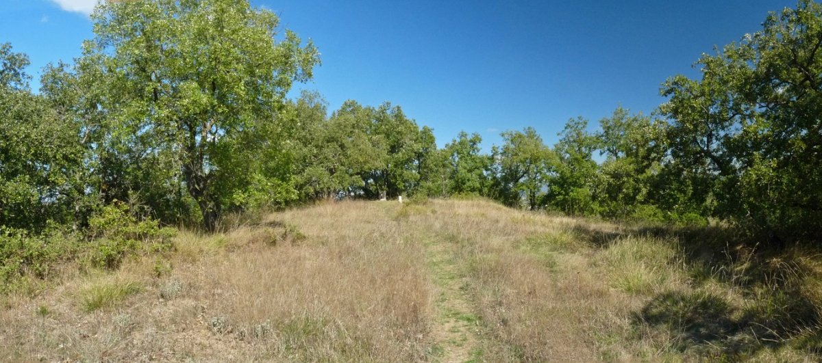 Basotxoko gailurra