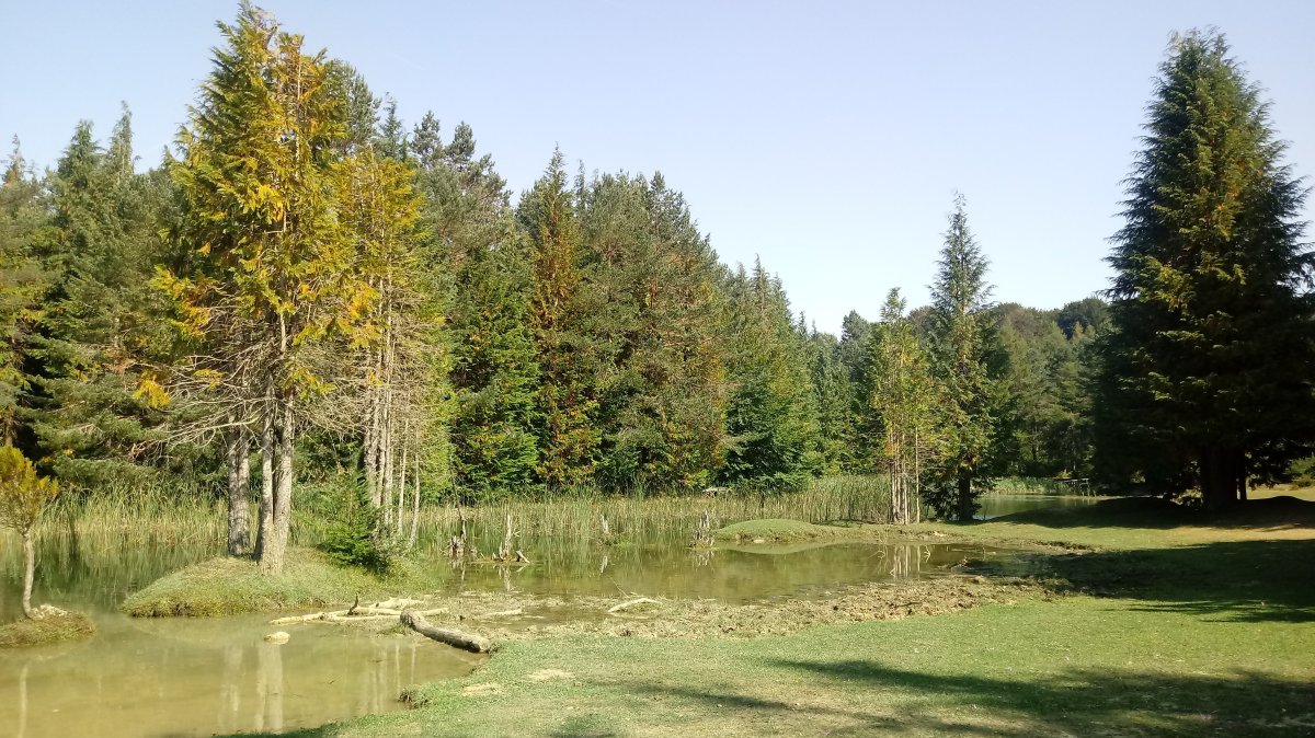 Iturbeltz urtegia
