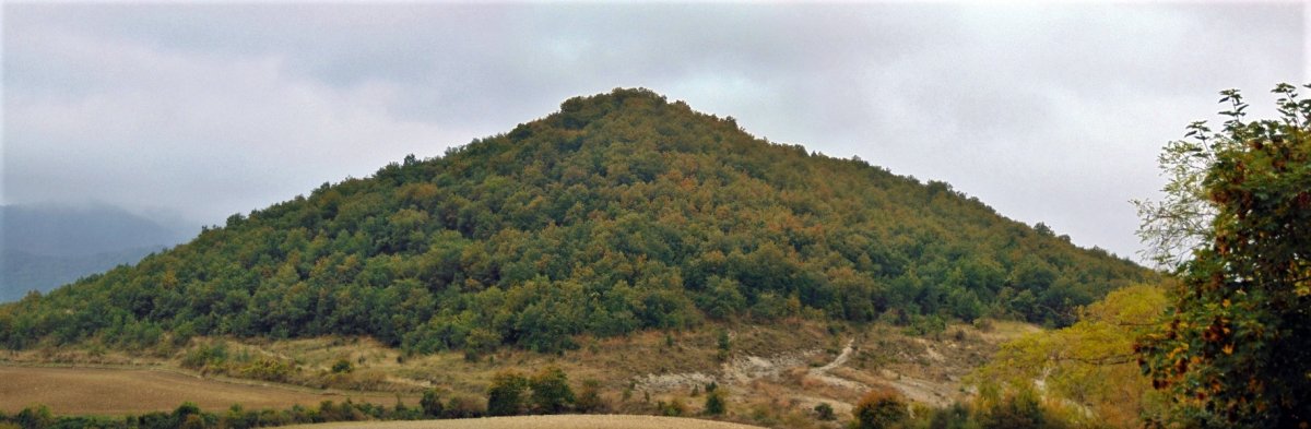 Basotxo