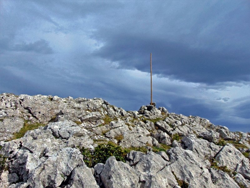 Tontorra