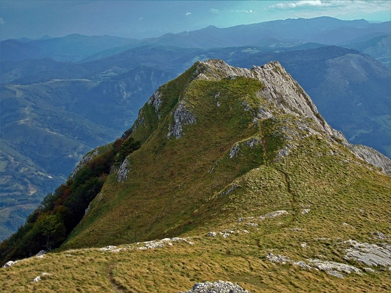 Balerdi
