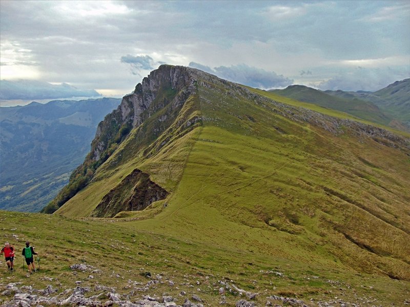 Urakorri