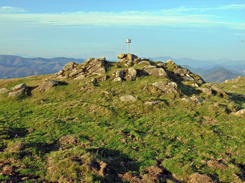 Tontorra