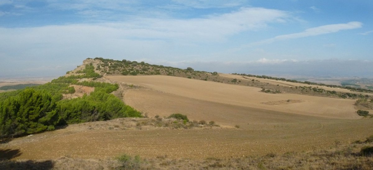 Jenariz