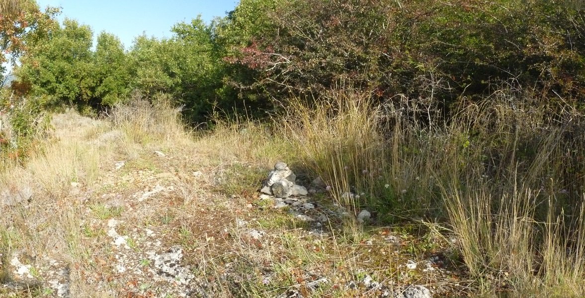 Arritxiki gaina