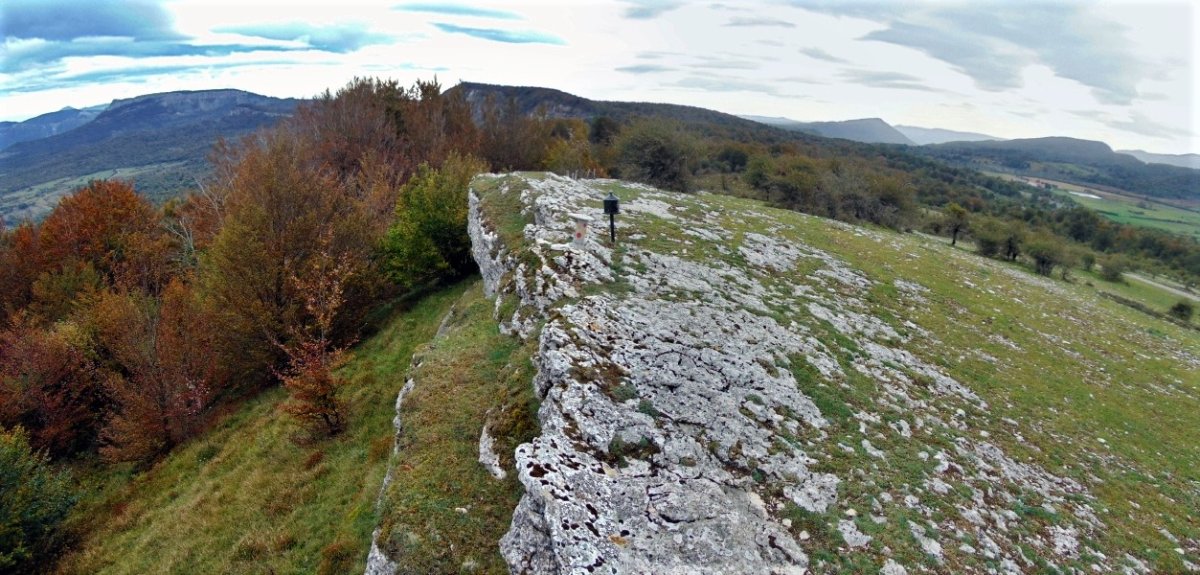 Tontorra