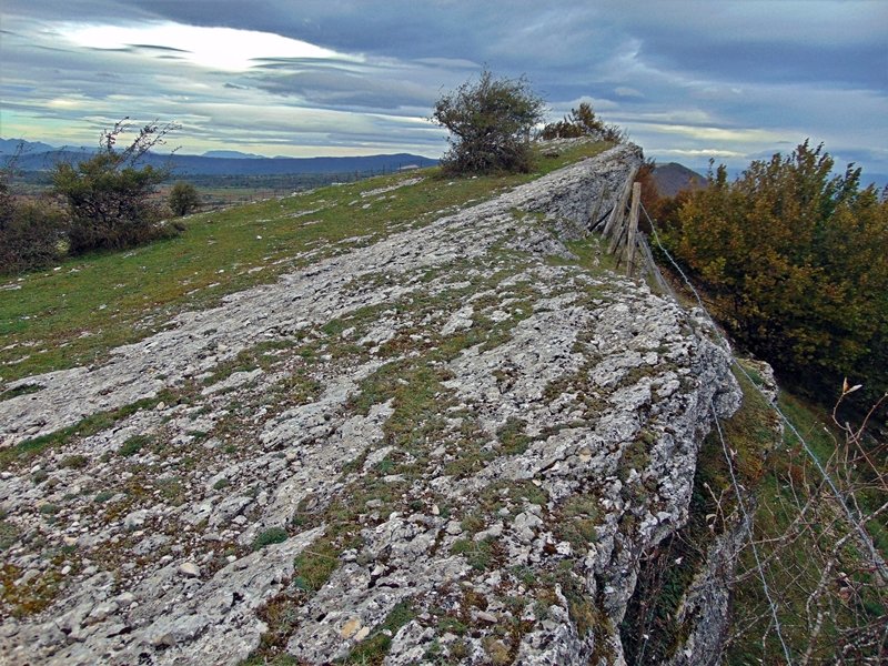 Tontorra