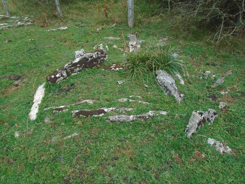 txuloberde