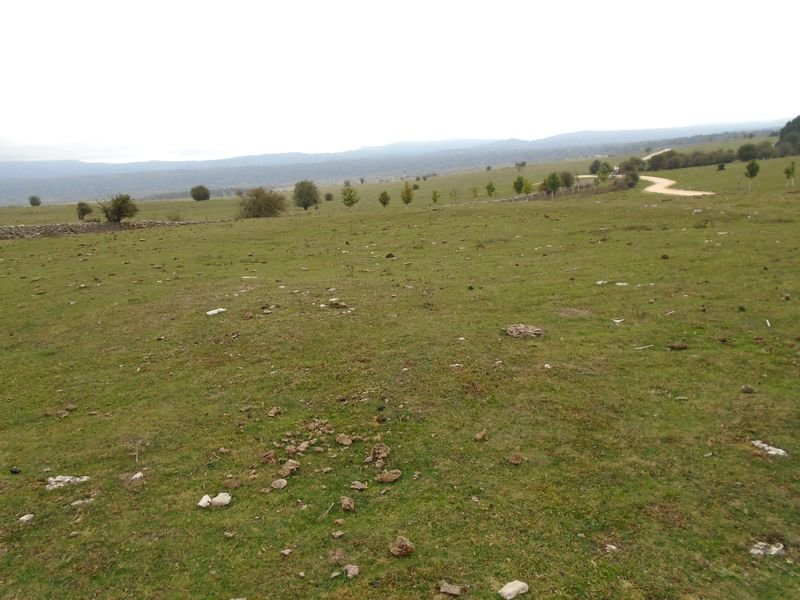 CAMINO DE ARRATONDO