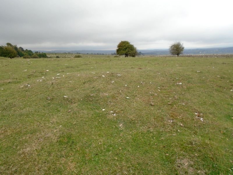 CAMINO DE ARRATONDO