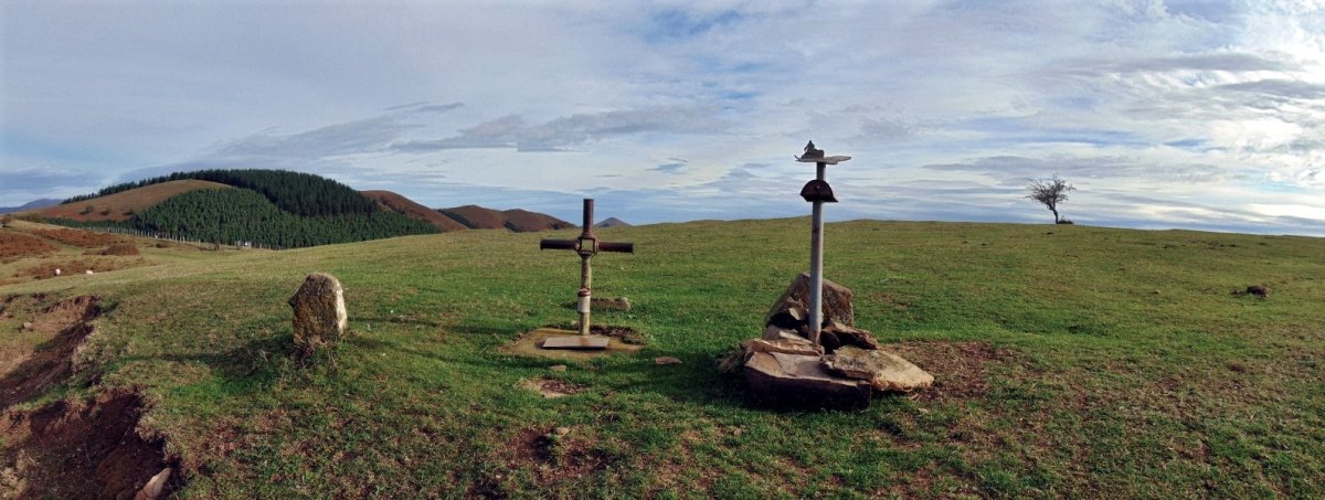 Tontorra