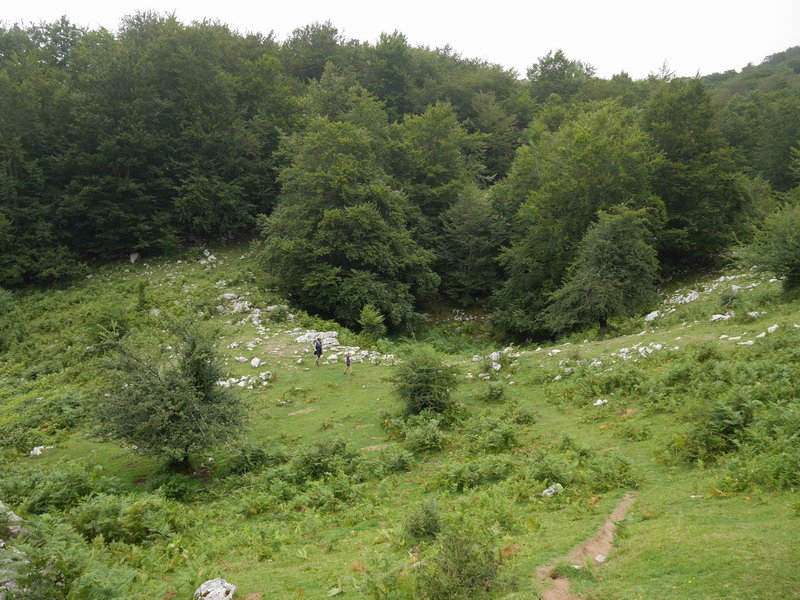 Kargalekura bidean