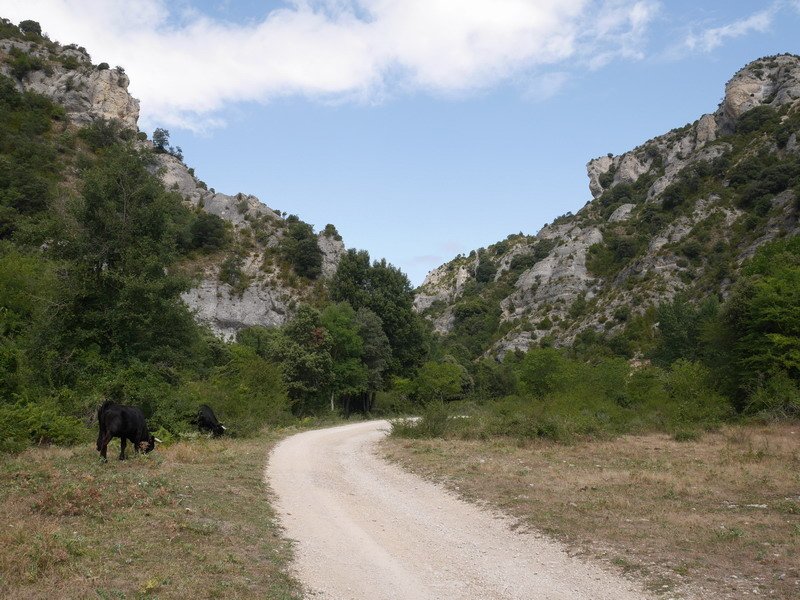 Irantzuko arroila
