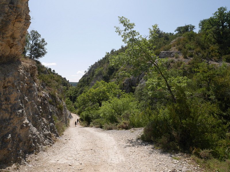 Irantzuko arroila