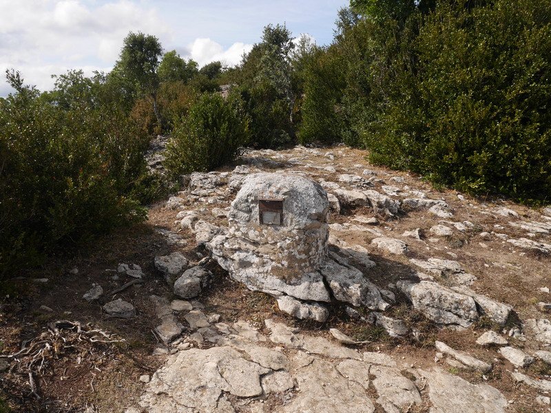 Azantzako tontorra