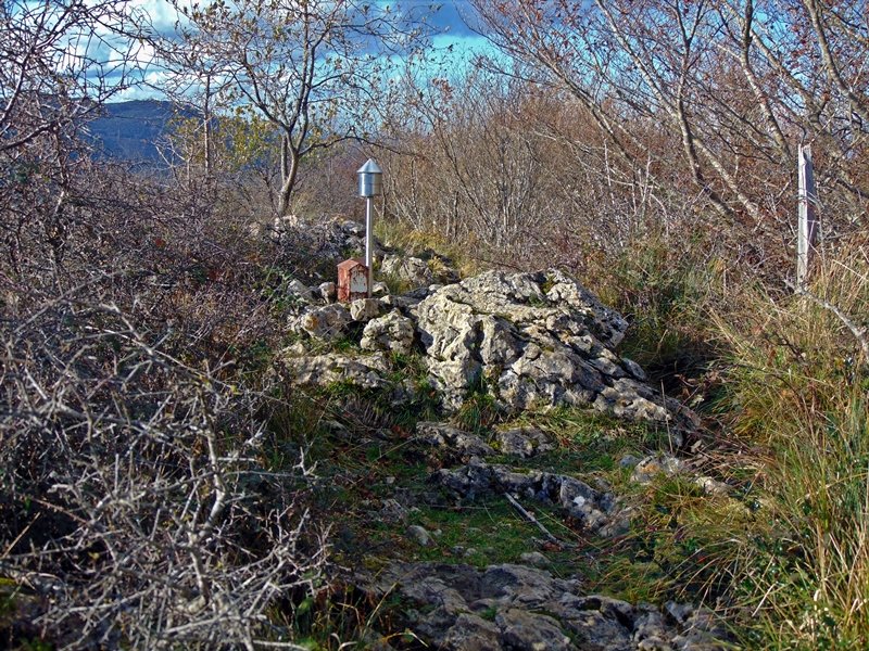 Tontorra