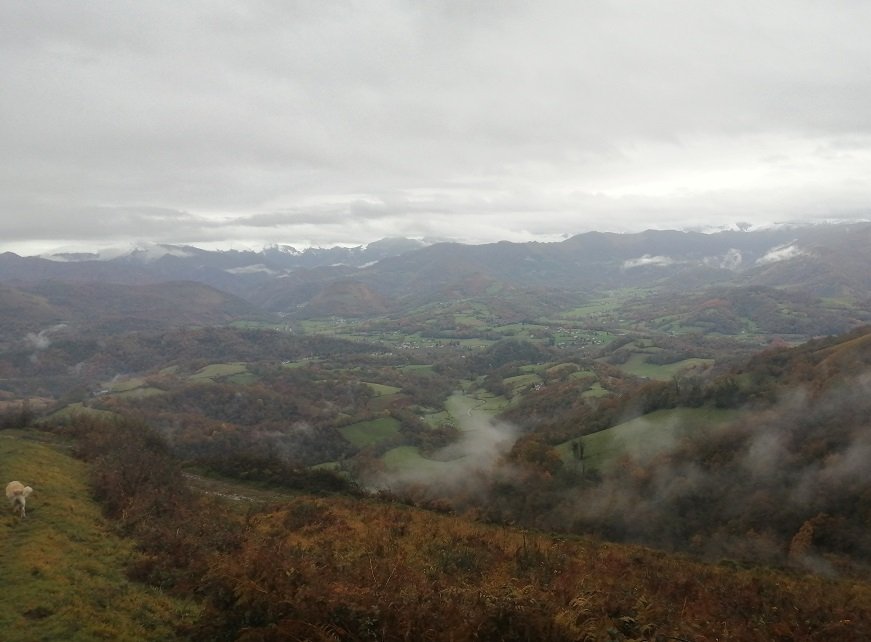 Orhi, tontorretik