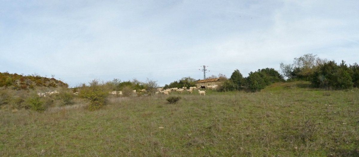 Garrantxiko borda