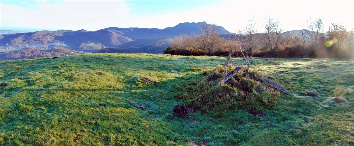 Tontorra