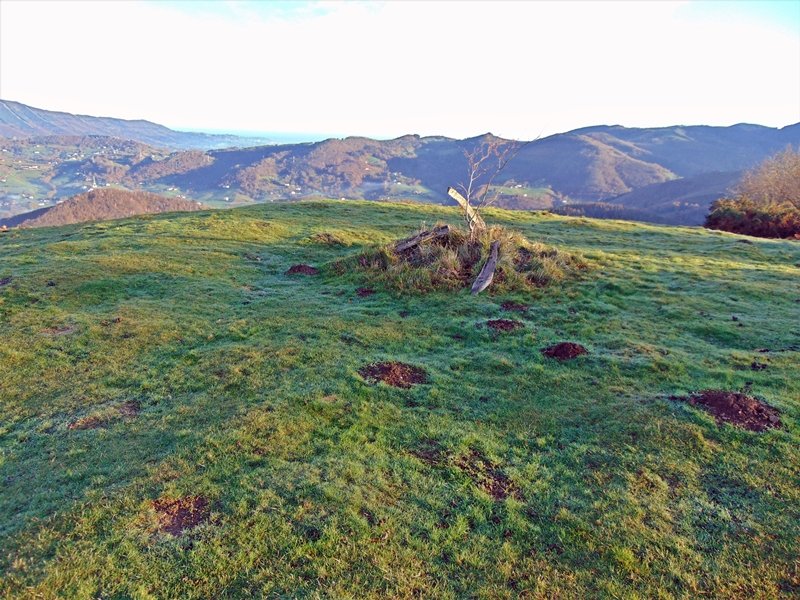 Tontorra