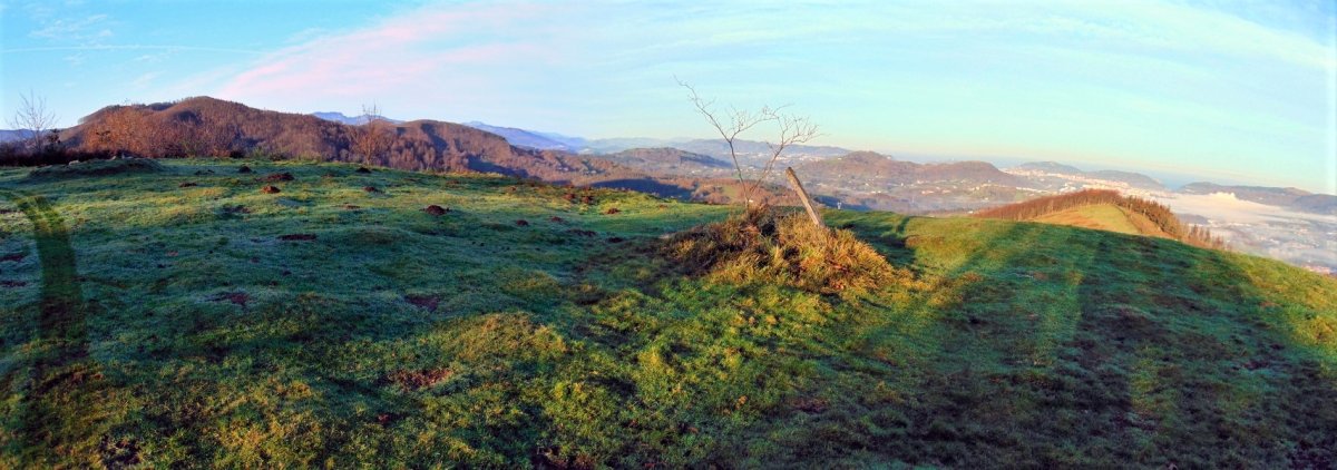 Tontorra