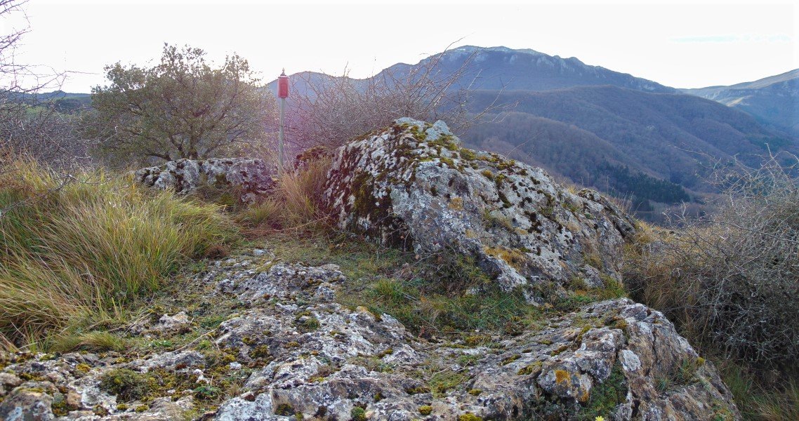 Tontorra