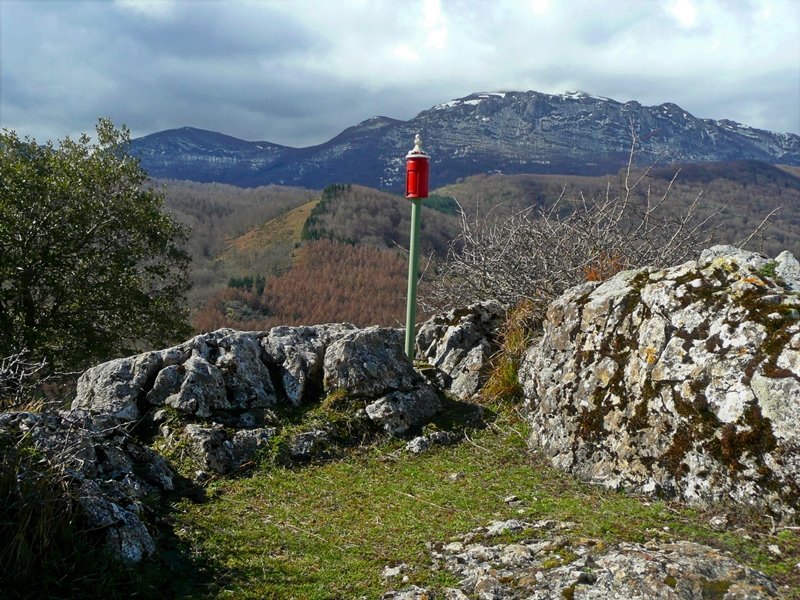 Tontorra