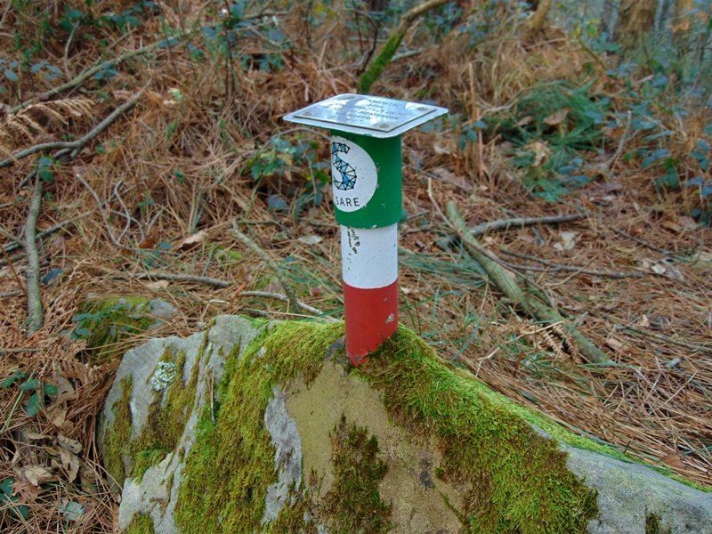 Buzoi Berria