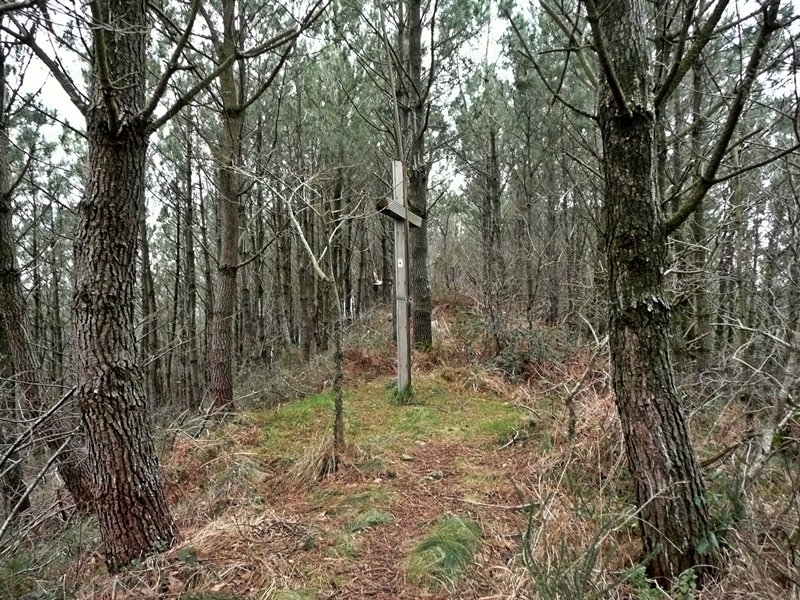 Gurutzea