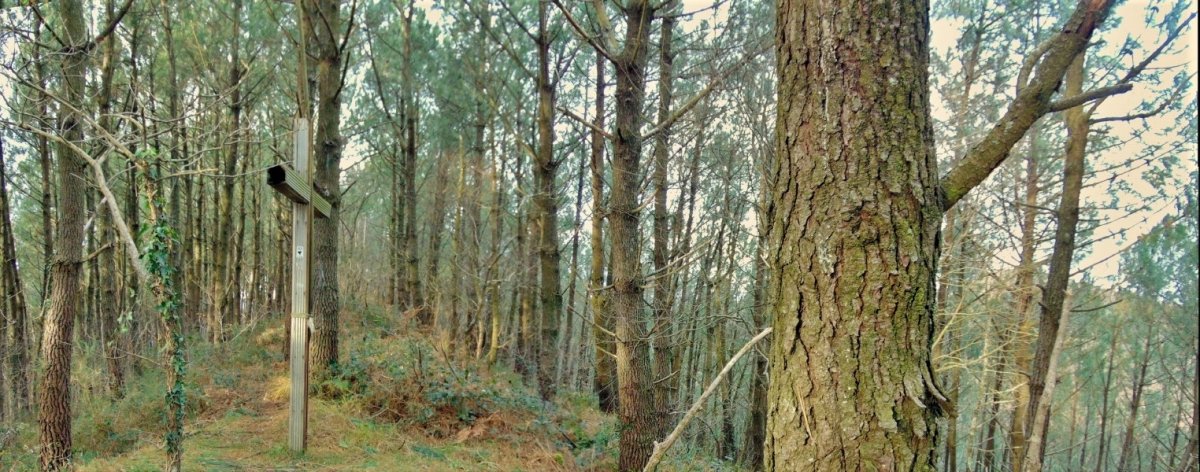 Gurutzea