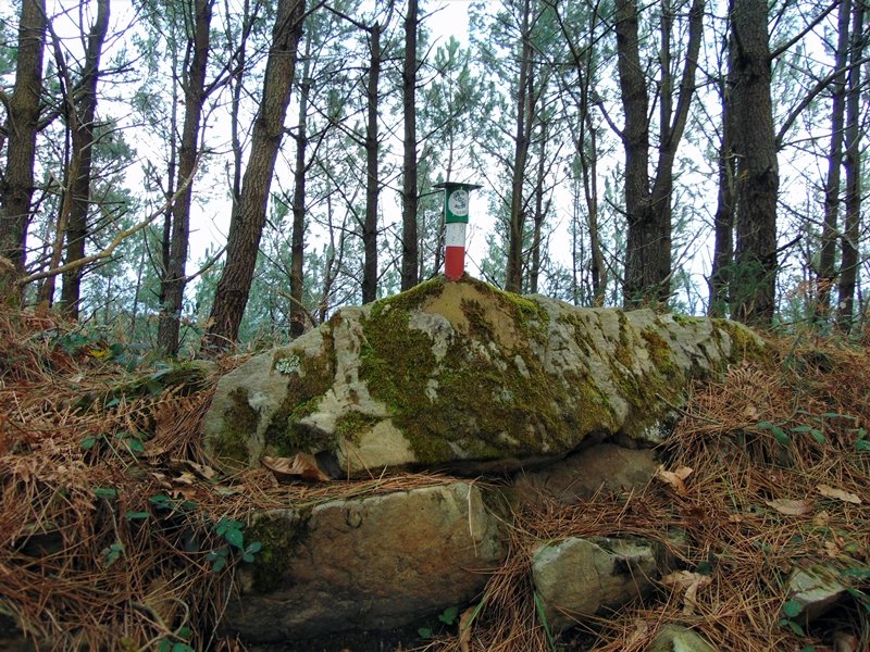 Buzoi Berria