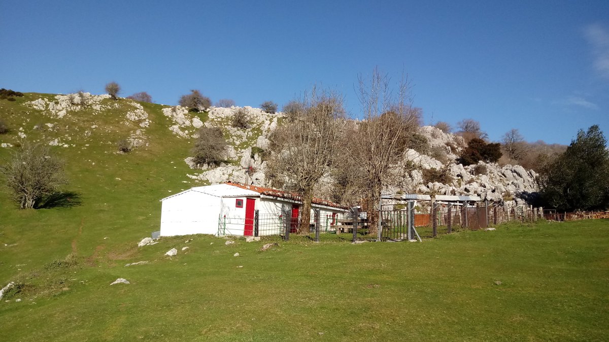 Arriolatz azpiko bordak