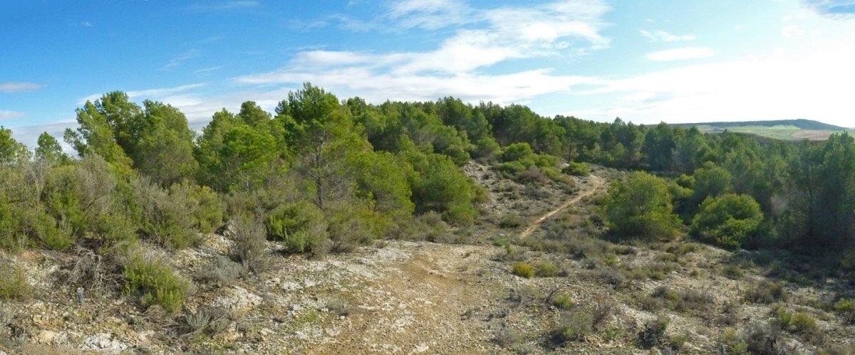 Romeral, gainaldea