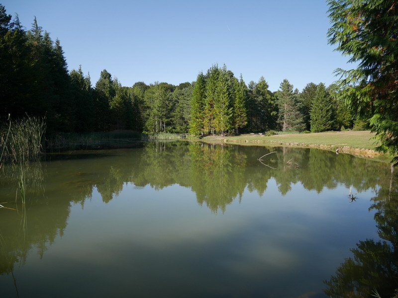 Iturbaltz