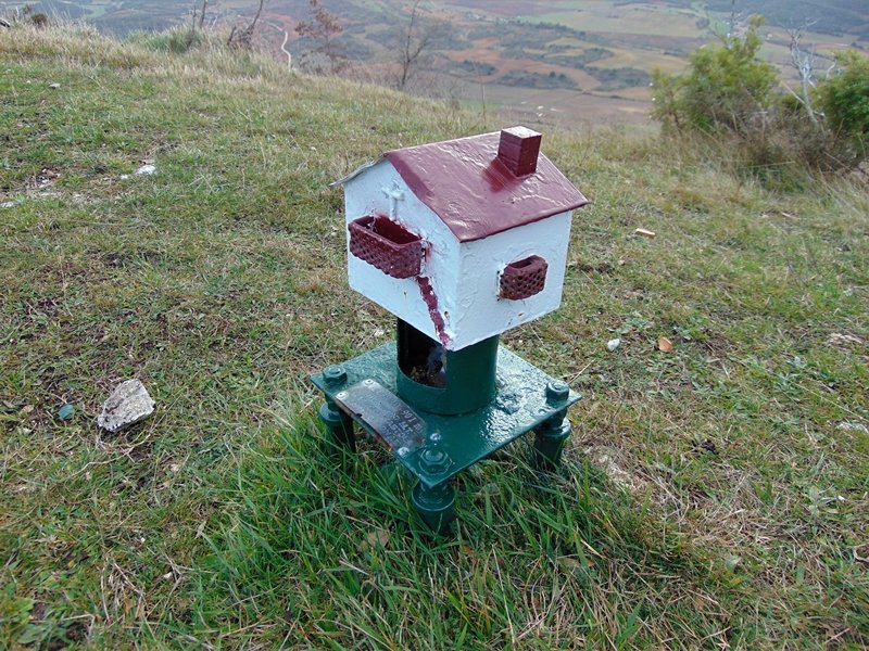 Buzoia