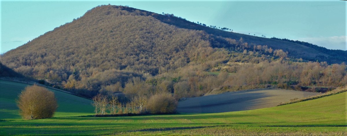 Cerro