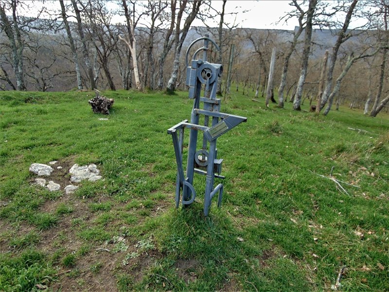 Buzoia