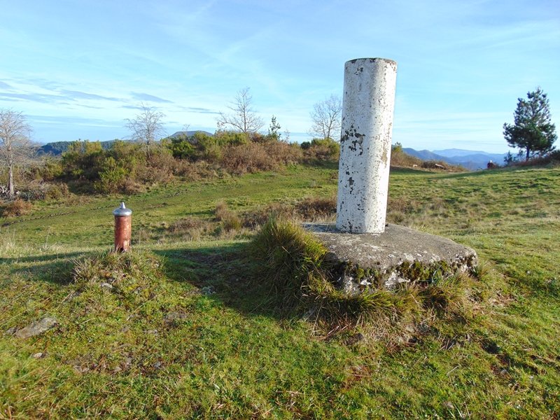 Tontorra