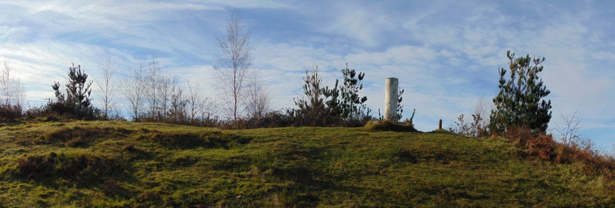 Tontorra
