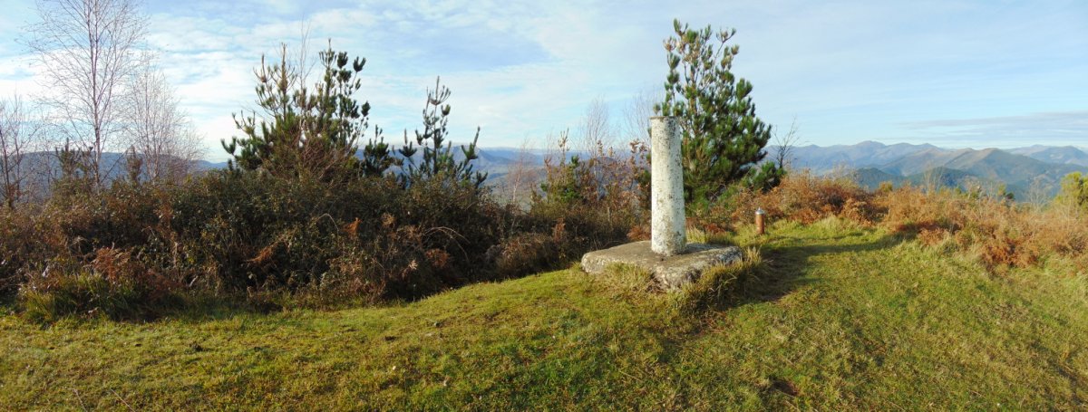 Tontorra