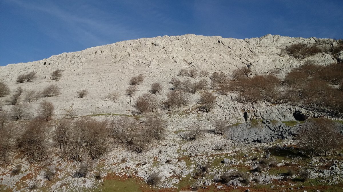 Elgoin (1243m) Pagozelaitik