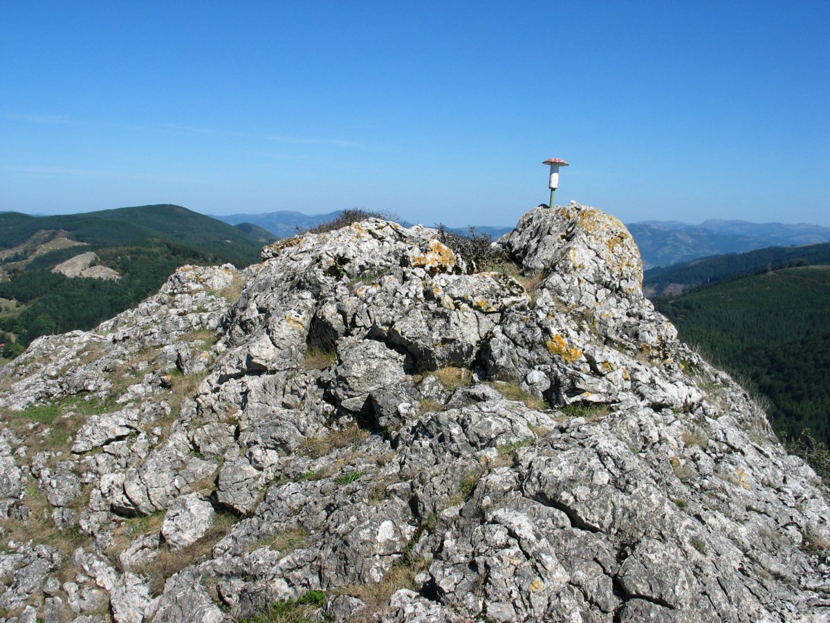 Tontorra