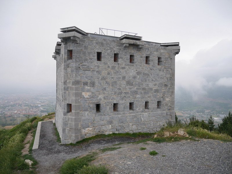 Dorrea
