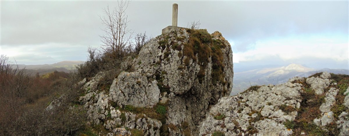 Tontorra