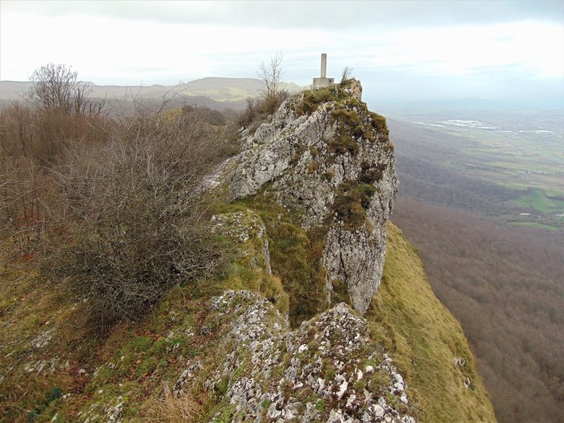 Tontorra