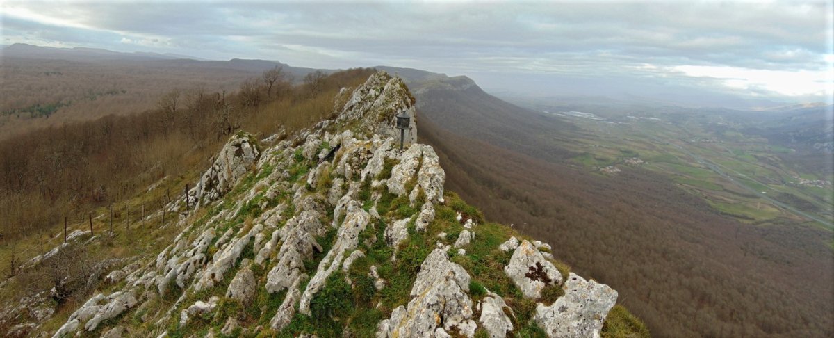Ekialdeko Tontorra